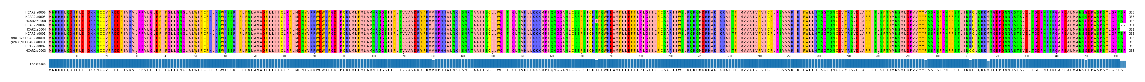 Multiple Alignments (by translate haplotype similarity)