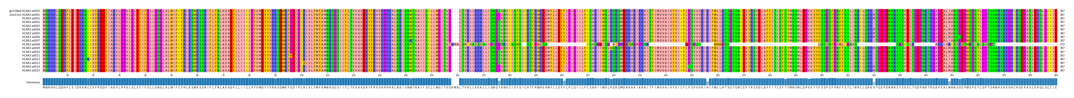 Multiple Alignments (by translate haplotype frequency)