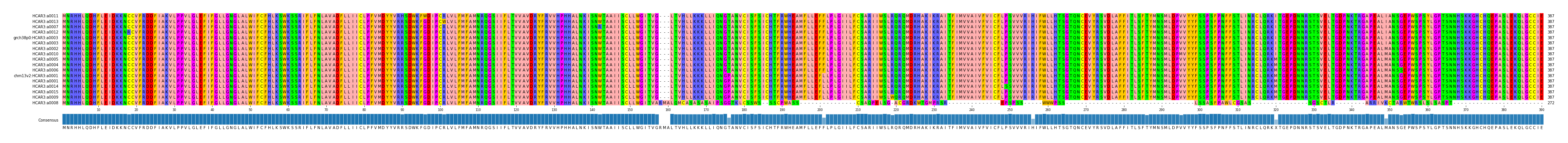 Multiple Alignments (by translate haplotype similarity)