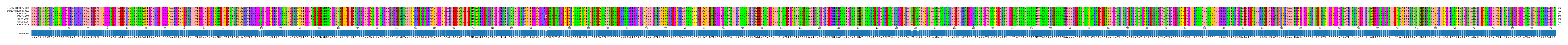 Multiple Alignments (by translate haplotype frequency)