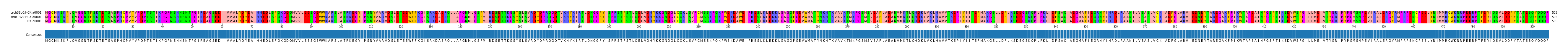Multiple Alignments (by translate haplotype similarity)