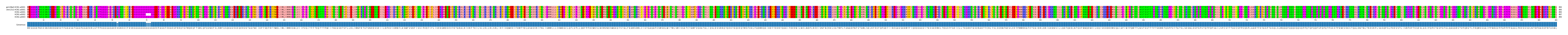 Multiple Alignments (by translate haplotype frequency)