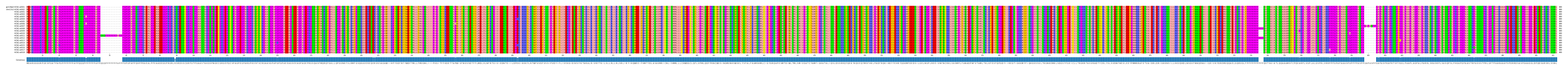 Multiple Alignments (by translate haplotype frequency)