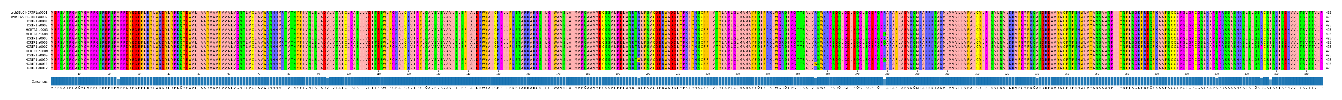 Multiple Alignments (by translate haplotype frequency)
