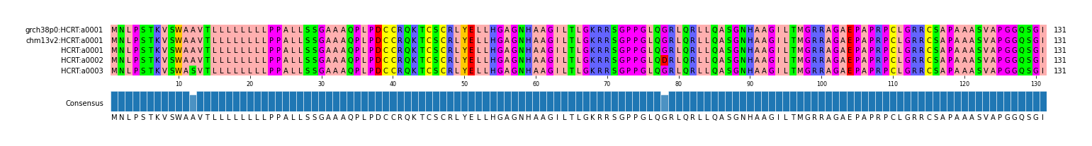 Multiple Alignments (by translate haplotype frequency)