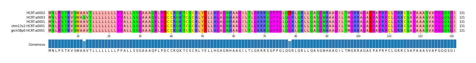 Multiple Alignments (by translate haplotype similarity)