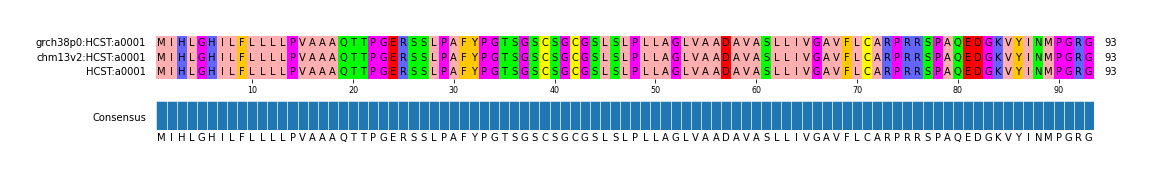 Multiple Alignments (by translate haplotype similarity)