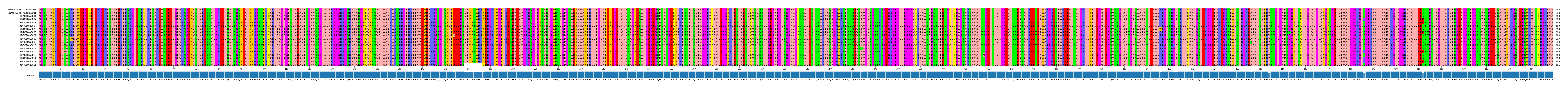 Multiple Alignments (by translate haplotype frequency)