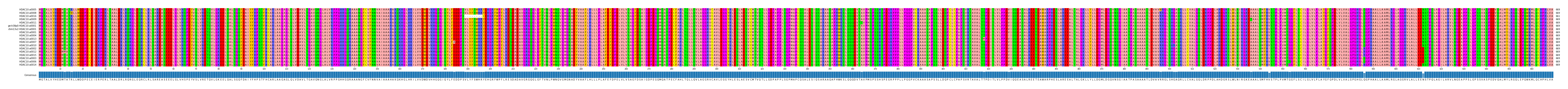 Multiple Alignments (by translate haplotype similarity)