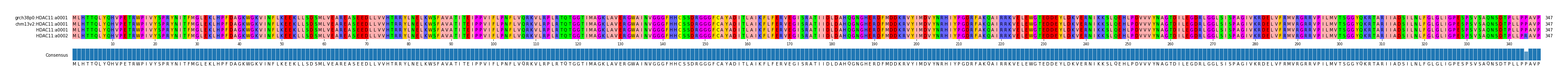 Multiple Alignments (by translate haplotype similarity)