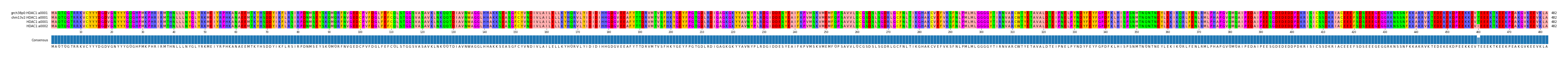 Multiple Alignments (by translate haplotype similarity)