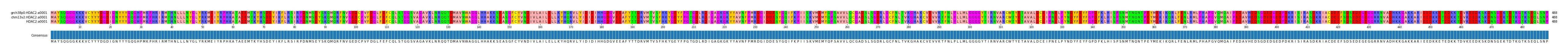 Multiple Alignments (by translate haplotype similarity)