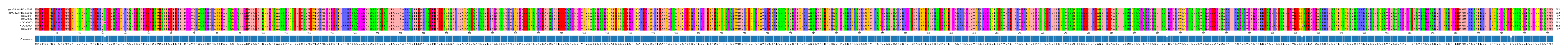 Multiple Alignments (by translate haplotype frequency)