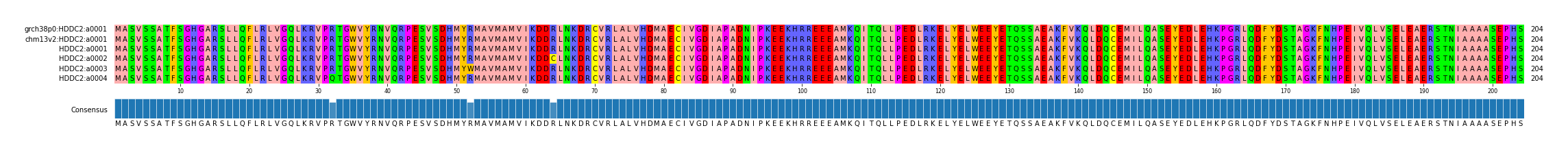 Multiple Alignments (by translate haplotype frequency)