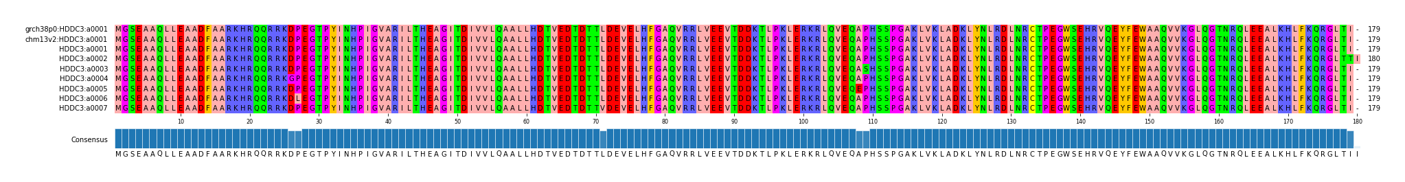 Multiple Alignments (by translate haplotype frequency)