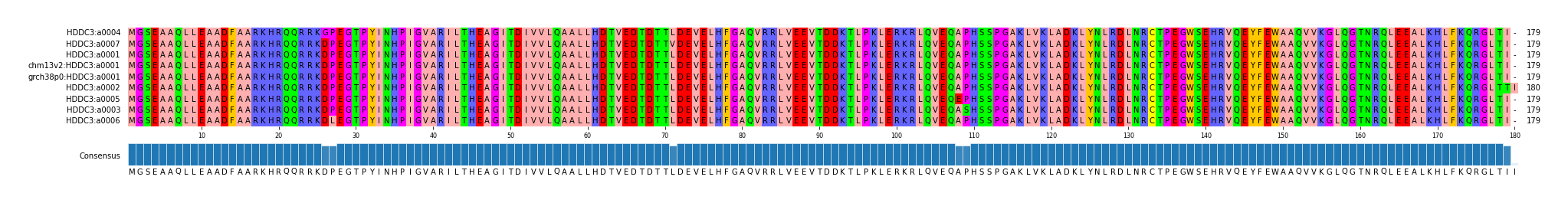 Multiple Alignments (by translate haplotype similarity)