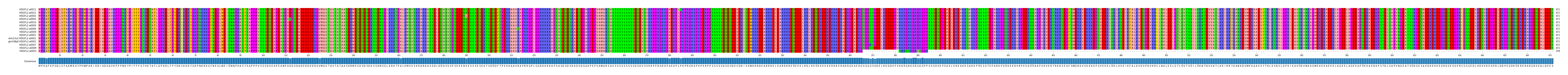 Multiple Alignments (by translate haplotype similarity)
