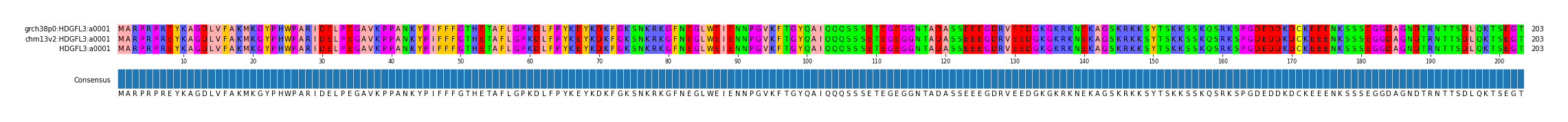 Multiple Alignments (by translate haplotype similarity)