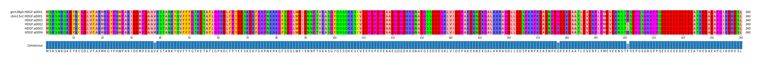 Multiple Alignments (by translate haplotype frequency)