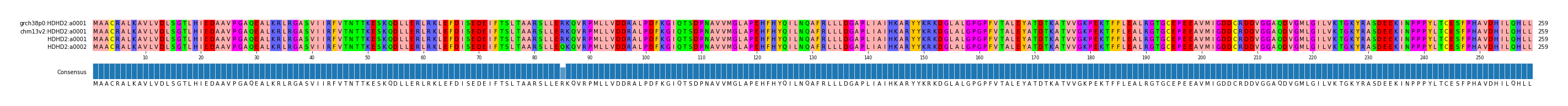 Multiple Alignments (by translate haplotype frequency)