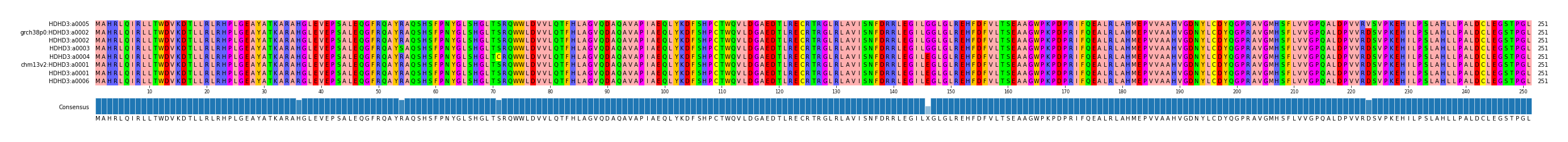 Multiple Alignments (by translate haplotype similarity)