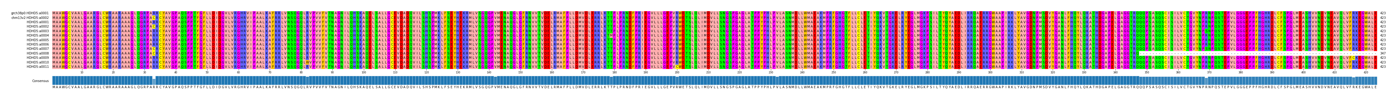 Multiple Alignments (by translate haplotype frequency)