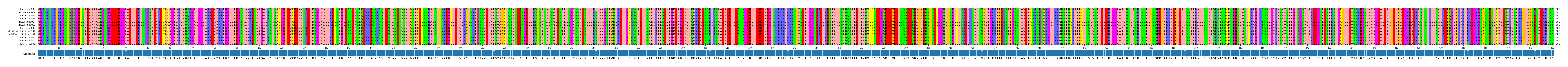 Multiple Alignments (by translate haplotype similarity)