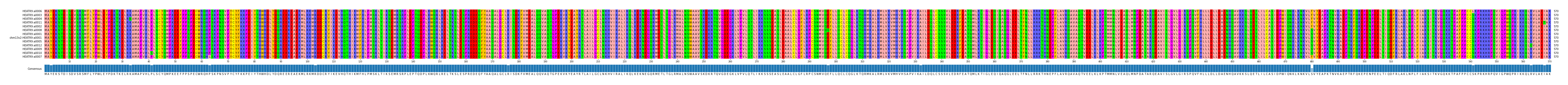 Multiple Alignments (by translate haplotype similarity)