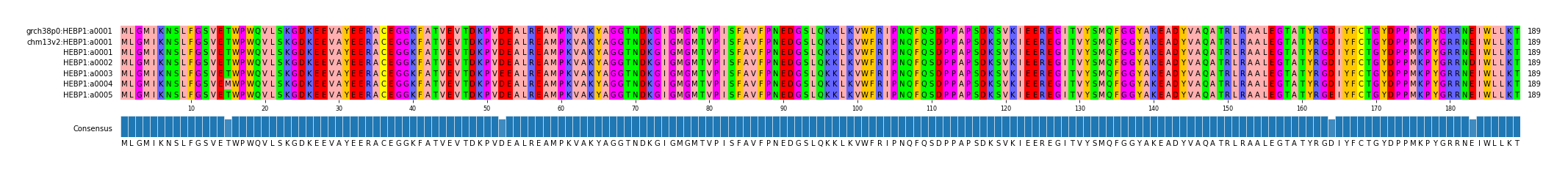 Multiple Alignments (by translate haplotype frequency)
