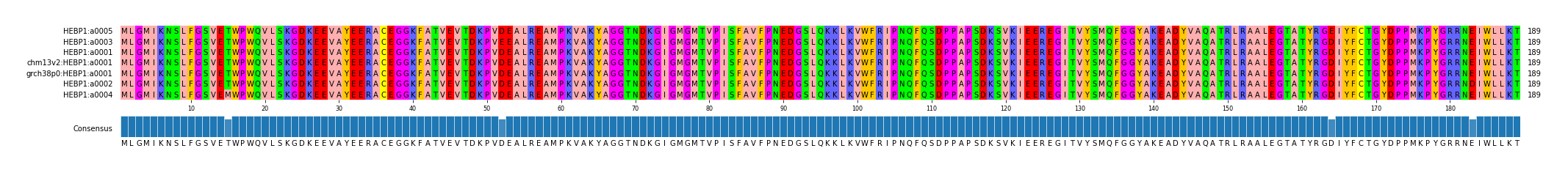 Multiple Alignments (by translate haplotype similarity)