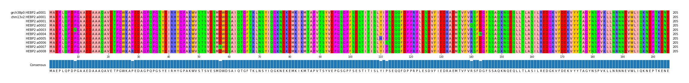 Multiple Alignments (by translate haplotype frequency)