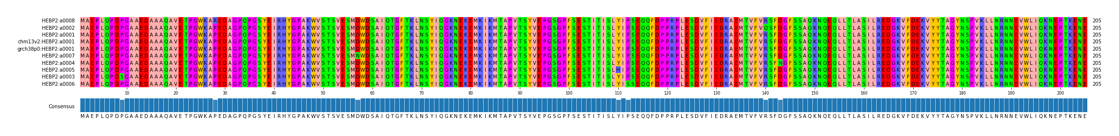 Multiple Alignments (by translate haplotype similarity)