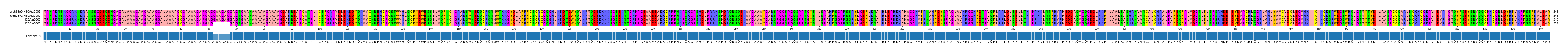 Multiple Alignments (by translate haplotype similarity)