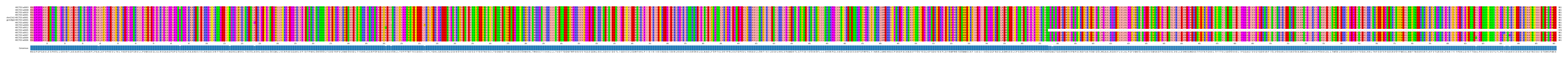 Multiple Alignments (by translate haplotype similarity)