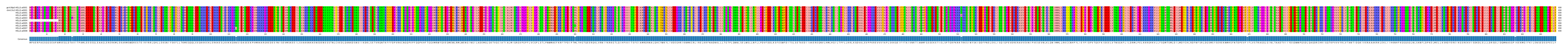 Multiple Alignments (by translate haplotype frequency)