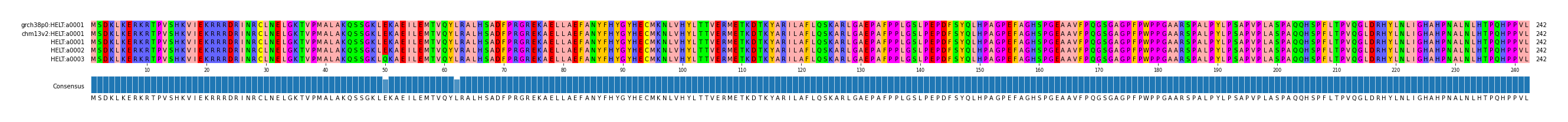 Multiple Alignments (by translate haplotype frequency)