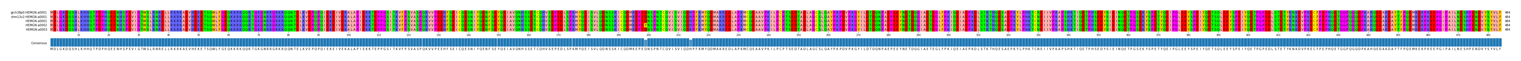 Multiple Alignments (by translate haplotype frequency)