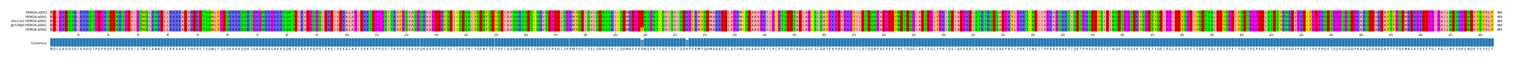 Multiple Alignments (by translate haplotype similarity)