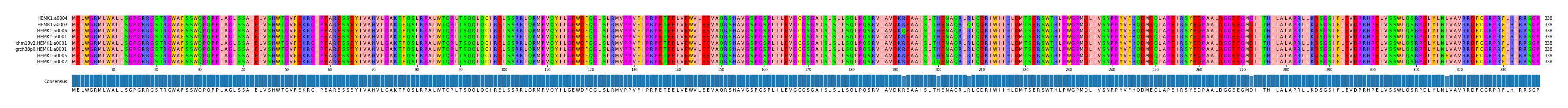 Multiple Alignments (by translate haplotype similarity)