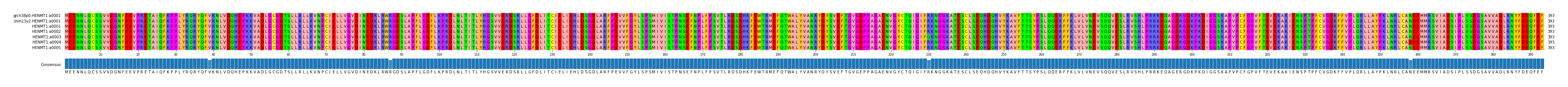 Multiple Alignments (by translate haplotype frequency)