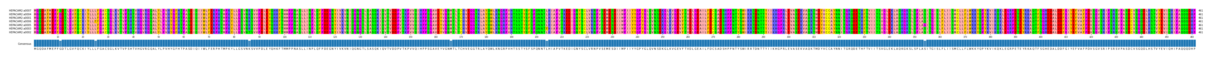 Multiple Alignments (by translate haplotype similarity)