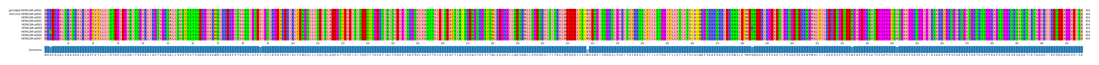 Multiple Alignments (by translate haplotype frequency)