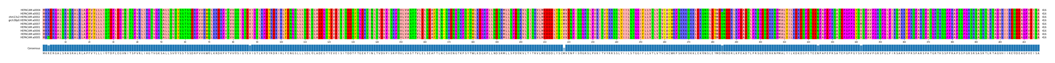 Multiple Alignments (by translate haplotype similarity)