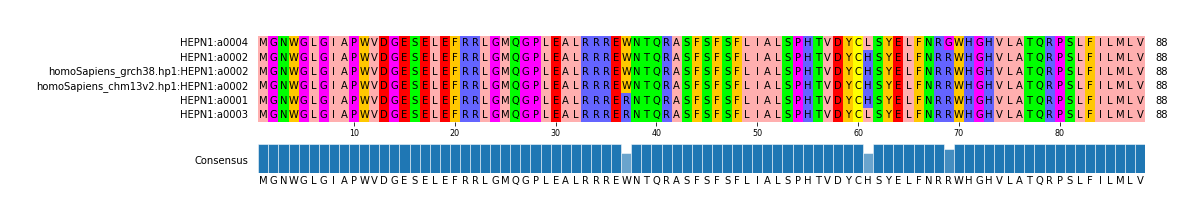 Multiple Alignments (by translate haplotype similarity)