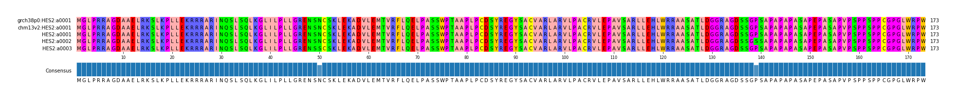 Multiple Alignments (by translate haplotype frequency)