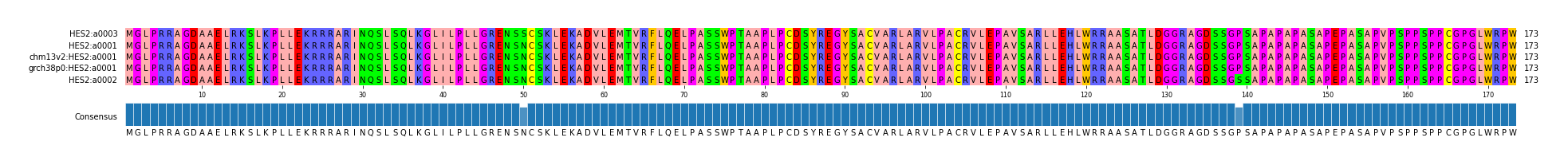 Multiple Alignments (by translate haplotype similarity)