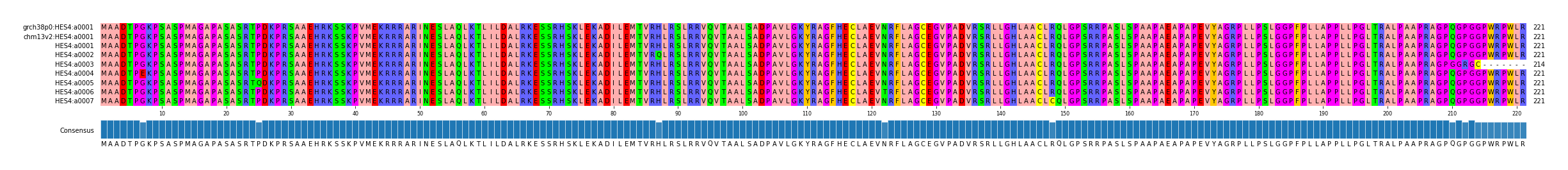 Multiple Alignments (by translate haplotype frequency)
