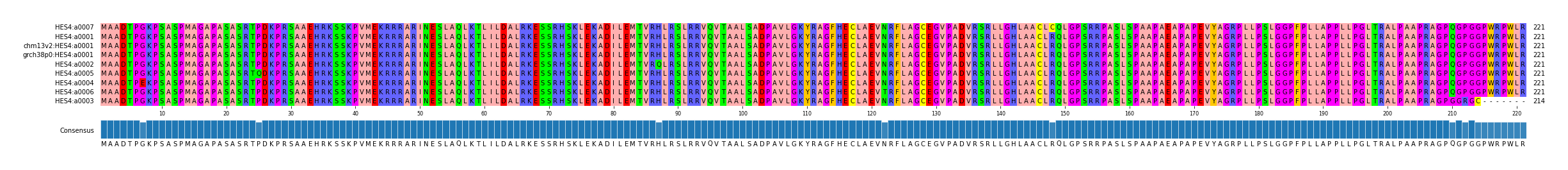 Multiple Alignments (by translate haplotype similarity)