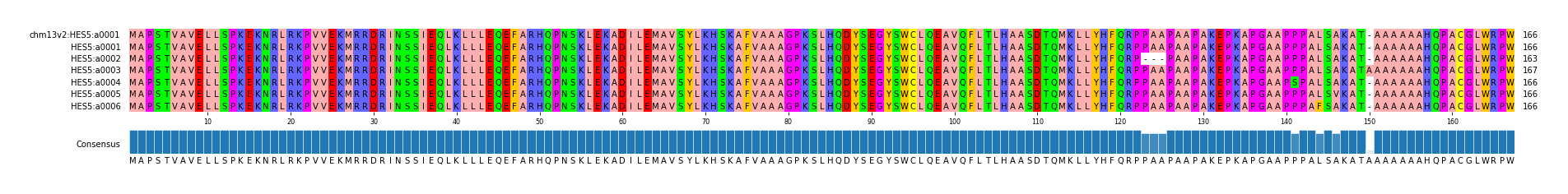 Multiple Alignments (by translate haplotype frequency)