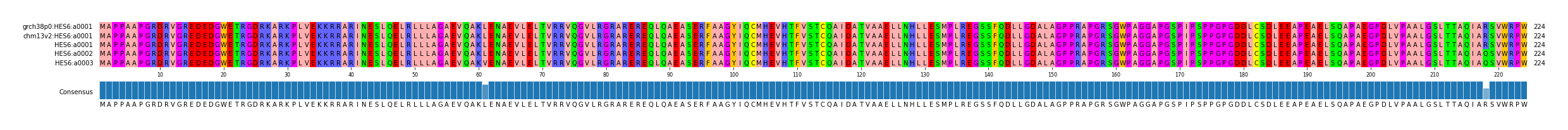 Multiple Alignments (by translate haplotype frequency)